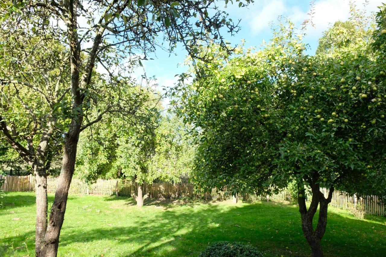 Ferienapartments Hohen Schoenberg Buitenkant foto